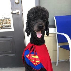 Meet your Posher, Leigh